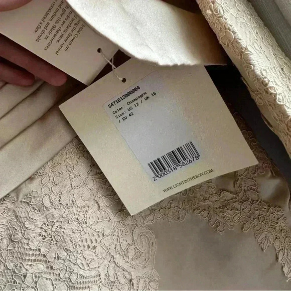 LanTing Mother of the Bride Tan Dress with  Lace - Picture 2 of 12